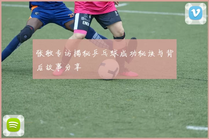 张敏专访揭秘乒乓球成功秘诀与背后故事分享