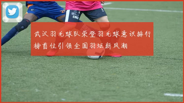 武汉羽毛球队荣登羽毛球意识排行榜首位引领全国羽坛新风潮